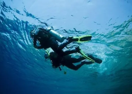 Playa De 2* أريناغا